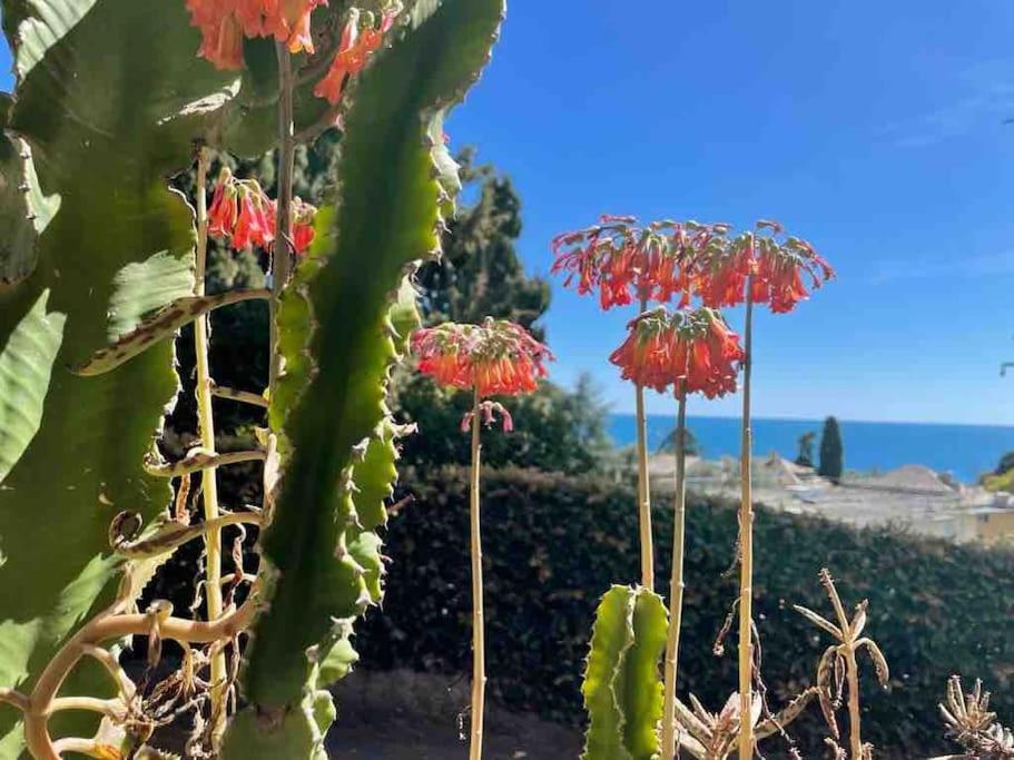 Nervi Residenziale A Due Passi Dal Mare Apartamento Génova Exterior foto